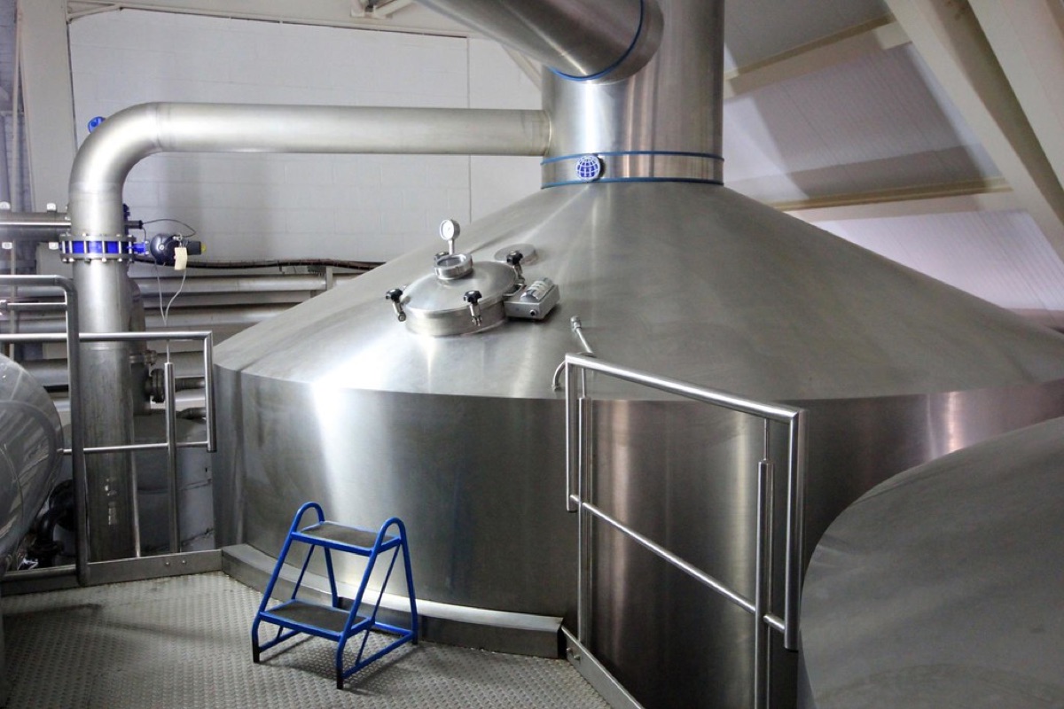 泡茶過程展示綠茶泡製細節