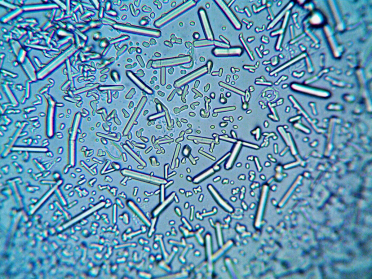 zinc leaf sample in natural light