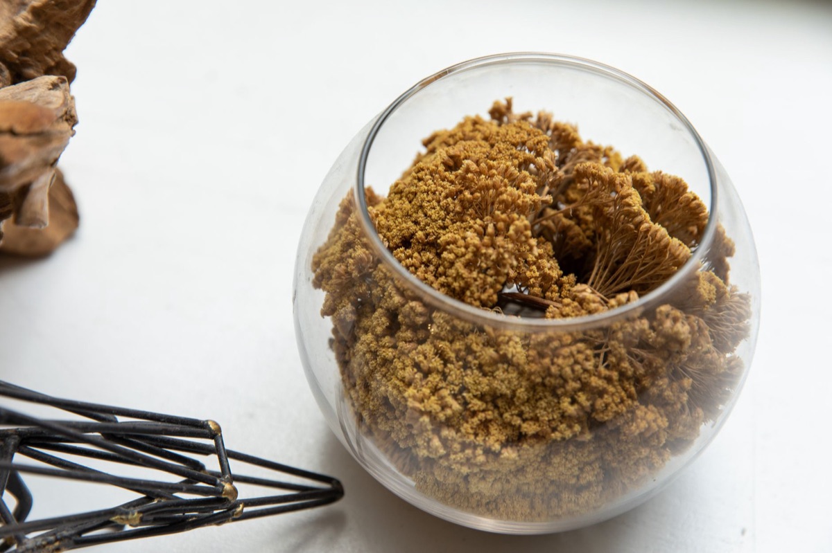 herbes sèches et tazza d'eau