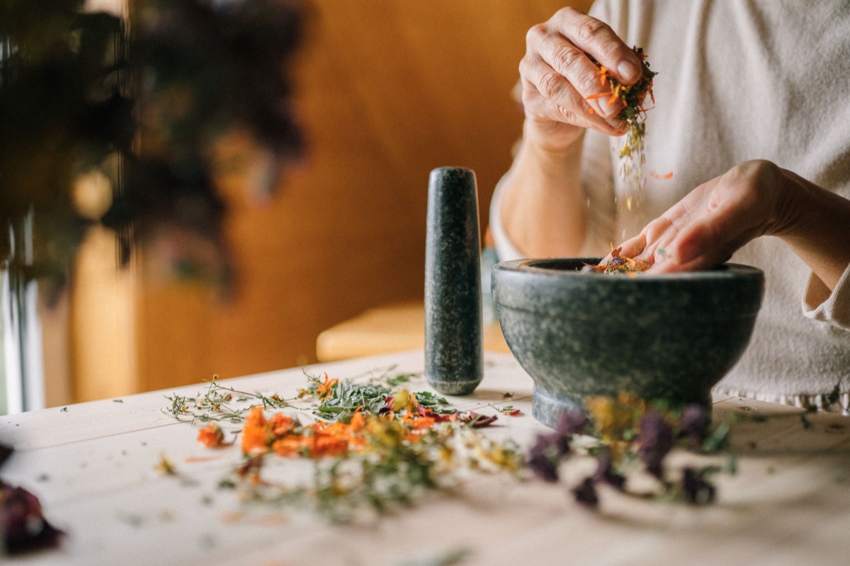 preparazione di un'erba tradizionale per l'uso come farmaco