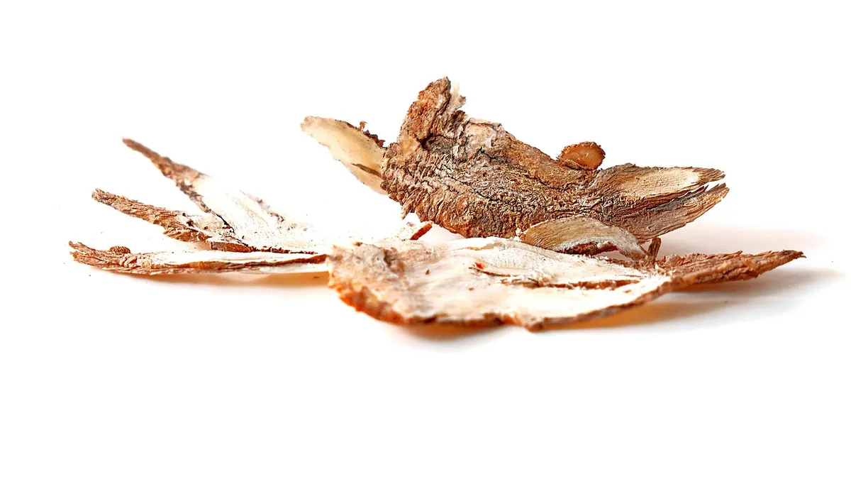 angelica, culinary herbs, ingredients, spices, traditional chinese medicine, angelica, angelica, angelica, angelica, angelica