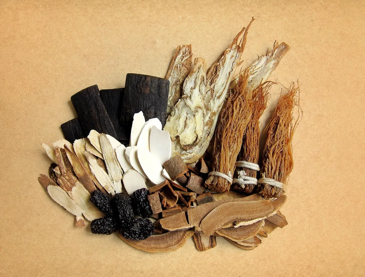chinese medicine, traditional chinese medicine, medicinal materials, chinese herbal medicine, tradition, hua tuo, ginseng, wolfberry, red dates, black date, gan