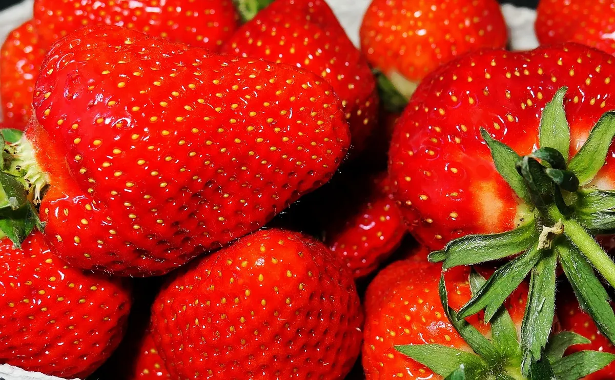 strawberries, fruit, meal, food, cute, red, yummy, fresh, vitamins, berry, healthy, vital substances