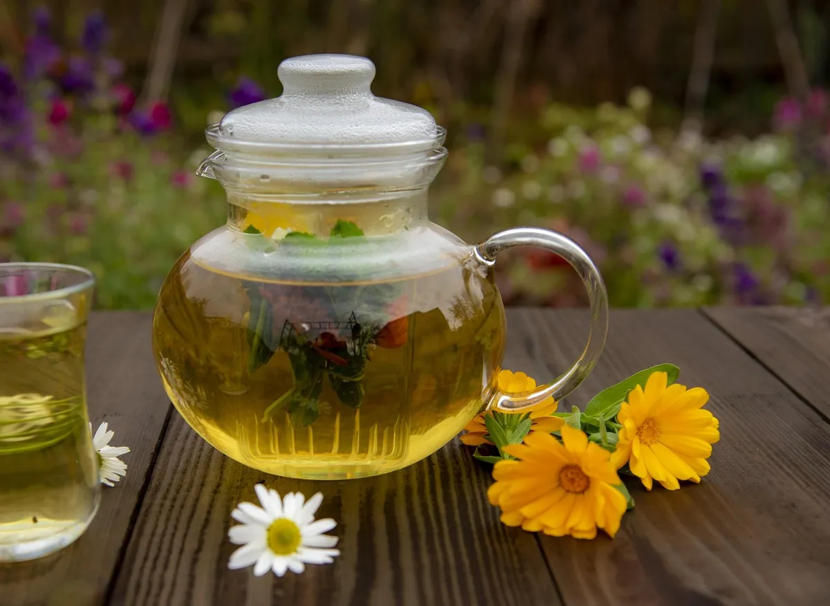 tea, calendula, herbal, drink, flowers, relaxation, traditional, alternative, nutrition, beautiful flowers, useful, the medicine, nature, flower background, flo