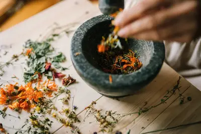 Plantas medicina: guía uso tradicional vs moderno 80%